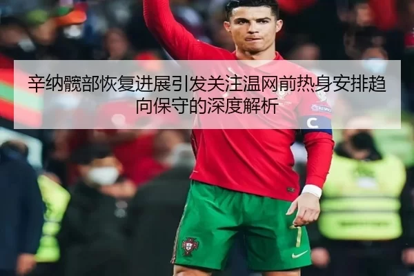 辛纳髋部恢复进展引发关注温网前热身安排趋向保守的深度解析